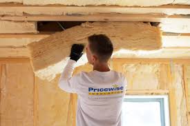 Best Eco-Friendly or Green Insulation Solutions  in Westmont, IL