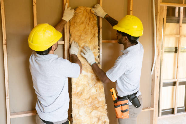 Best Basement Insulation  in Westmont, IL